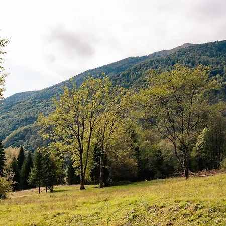 Rilassati Tra E Montagne A Cima Moscardo Luksustelt
