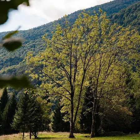 Luksustelt Rilassati Tra E Montagne A Cima Moscardo
