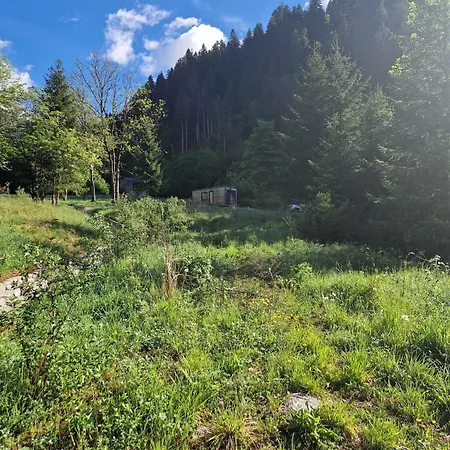 Rilassati Tra E Montagne A Cima Moscardo Cleuis